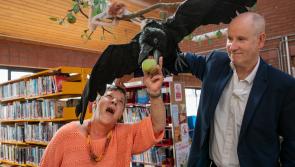 Junction Arts Festival continues long link with Clonmel artist Des Dillon