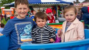 Sean Healy Park children's fun day is returning to Carrick-on-Suir's Clancy Brothers Festival 