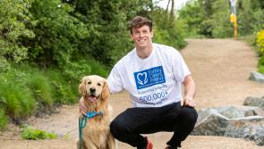 Clonmel Family Carers manager urges public to get behind Paws for a Cause fundraising drive