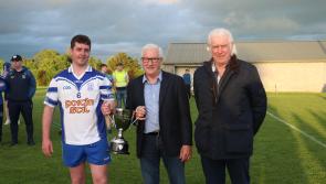 Cappawhite win the west Tipperary junior B hurling league title 