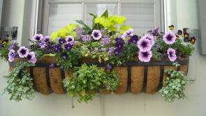 The Ballingarry community is looking for help in preparing for this year's Tidy Towns competition