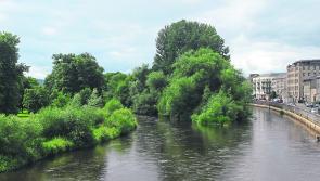 Progress made on plans for Suir Island amenity park in Tipperary