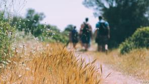 Calling all hikers! Hike your way to the top of Lugnaquilla in aid of Peter McVerry Trust


