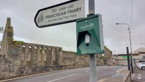 There have been no dog fouling fines issued in Tipperary in the last three years