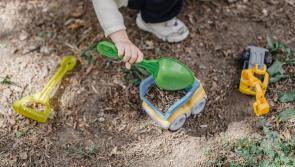 Tipperary people warned to beware of the hazards lurking in your garden