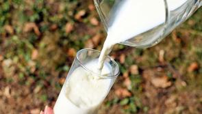 ALERT: Batch of non-dairy milk recalled due to presence of undisclosed ingredient
