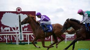'He did well today' - Proud And Regal wins on first debut at the Curragh
