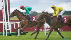 Le Petit Coco steps up to Group One victory at the Curragh 