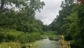 Annual 'Farming For Nature Gathering' location for October is revealed! 