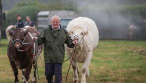 A wonderful family day out in store at Clonmel Agricultural Show