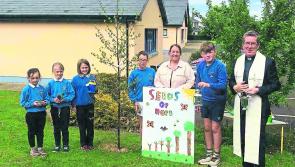 Seeds of Hope at Ballytarsna National School