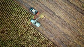 Basic Payment Scheme Refund of more than €20m announced for over 100,000 farmers across Ireland 

