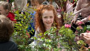 Eager Tipperary pupils take on environmental challenge to transform their school