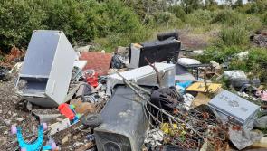 ‘Horrific’ dumping discovered in popular walking area of Tipperary