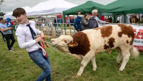 Government funding announced for agricultural shows in Tipperary