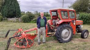 PICTURE: Local green areas are better for the work of Tipperary man