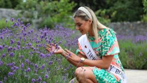 BIG READ: This year’s Tipperary Rose Aisling O’Donovan visits Nenagh