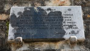 Family upset at vandalism of Clonmel quayside plaque