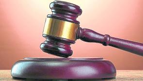 High Court appeal against destruction order made against man's pet dog for biting Tipperary woman is withdrawn