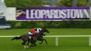 RACING: Your guide to Thursday’s action at Leopardstown