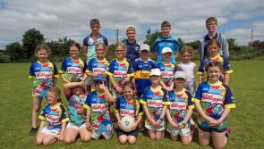 Tipp hurling stars and All-Ireland minor cup visit kids at Carrick-on-Suir GAA club's cúl camp 