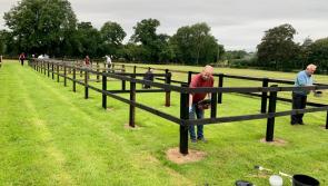 Preparations underway for return of Iverk Agricultural Show after break of two years 