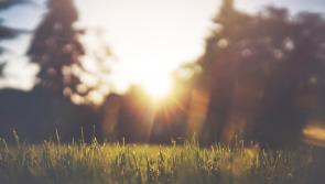 WEATHER: Yellow weather warning for Tipperary to be in place  over the weekend