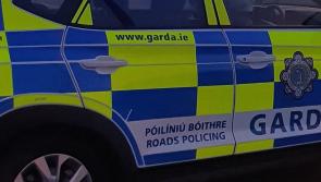 Male passenger dies in single vehicle crash 
