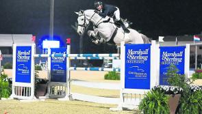 Tipperary showjumper representing Ireland is closing in on gold  
