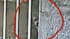 Ghost sighting in Tipperary receives international attention