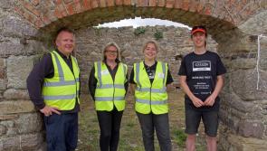 Team of 50 volunteers do their bit to conserve ruins of historic farmstead near Carrick-on-Suir 