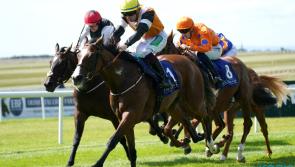 Aspen Grove claims 'shock victory' at the Curragh