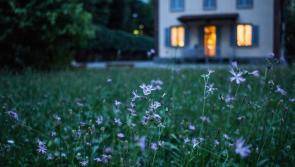 Tipperary County Council to buy HAP houses from landlords
