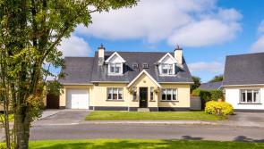 This charming house in Tipperary is definitely someone's perfect starter home