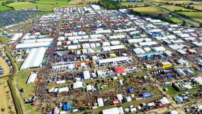 Ploughing championships Day 2: Up to 90,000 expected again at Ratheniska with hundreds from Tipperary travelling