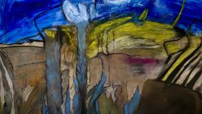 A new exhibition will open at The Narrow Space Gallery in Clonmel