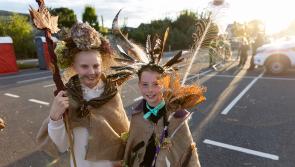 Tipperary festival organises call off brochure launch as a mark of respect to crash victims
