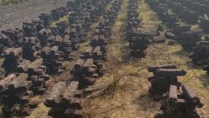 Tipperary land owners warned over failure to stop turf cutting on protected bogs