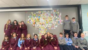 Students at St Mary's Secondary school Newport celebrate Mercy Day