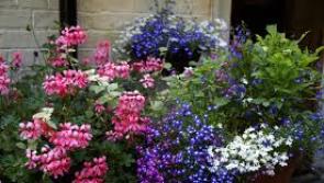 Helen Molloy the guest speaker at Clonmel Flower Club's monthly meeting