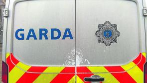 'Roving gangs intimidating farmers and their families in Tipperary'