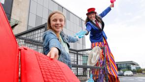 Free collection day for electrical and electronic waste planned for Carrick-on-Suir 