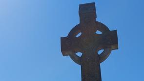 Councillor says bird fouling in Thurles graveyard is causing 'huge grief'