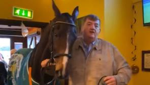 WATCH: Irish trainer brings €850 hero horse into local pub for pint of Guinness