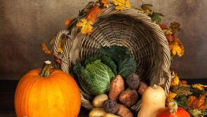 Tipperary community welcome new and familiar faces to their annual harvest thanksgiving 