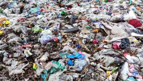 Tipperary company receives EU funding for environmental project