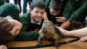 Tipperary students celebrate the fun of National Science Week