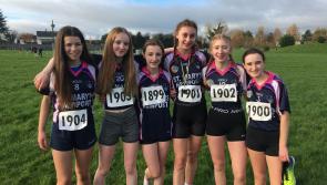 St Mary's Newport had a lot to be proud of after the Tipperary County cross country competition