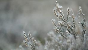 ADVISORY: Orange weather warning in place for Tipperary from Sunday evening 