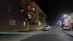 BREAKING:  Woman confirmed dead and man arrested in Laois incident